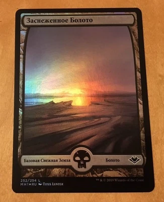 MTG Snow-capped Swamp FOIL Single Card Game Magic Cards - Image 1 of 2