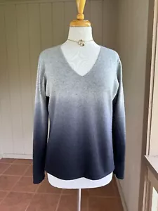 EUC XL Pure Amici Pullover 100% Kaschmir Ombre Grau V-Ausschnitt - Bild 1 von 10