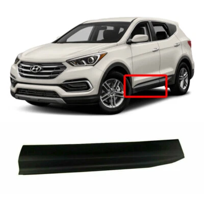 Decoración de moldura lateral de puerta delantera OEM LH 877212W000CA para Hyundai Santa Fe 13-17 Foto 1 de 3