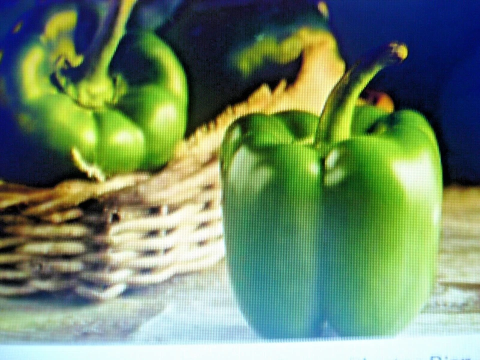 40 graines de Poivron vert California Wonder - - Photo 1/1