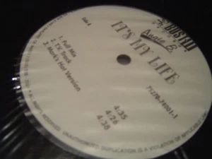 ANGIE B ITS MY LIFE 12" 1995 BUST IT SHRINK - Picture 1 of 1