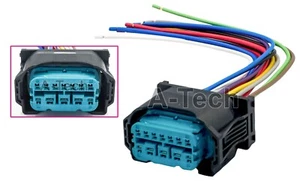 Conector de lámpara de cabeza coleta 12P 12 cableado BMW MINI - Imagen 1 de 2