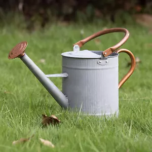 1 Gallon Watering Can, Farmhouse Watering Can, Metal Watering Can with Removable - Picture 1 of 12