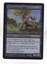 Magic: MTG: Morningtide: Foil: Weed-Pruner Poplar