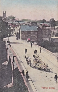 FCL Vintage Postcard, Sheep Cossing Totnes Bridge, Devon - Picture 1 of 1