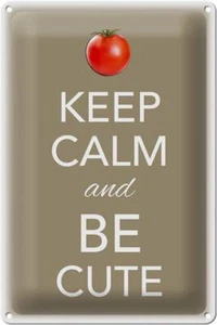 Blechschild Spruch 20x30 cm Keep Calm and be cute Tomate Deko Schild tin sign - Picture 1 of 5