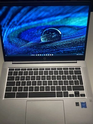 HP Chromebook 14a-na0037nl 14" (Intel Celeron N4020, 8GB RAM, 128GB eMMC) Laptop - Immagine 1 di 4