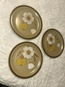 Vintage Set/3 Hearthside Hartriegel handbemalt Steinzeug Speiseteller 10,5" Japan - Bild 1 von 10