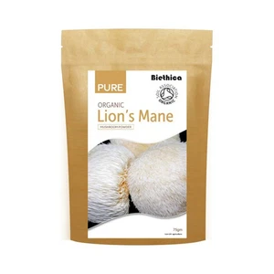 Criniera di Leone Bio in Polvere 75g - Foto 1 di 1