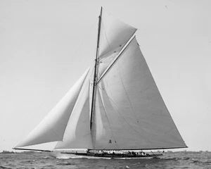 Anfang 1900, Segelboot Columbia, Yacht, Boot, Foto, neue Bildreproduktion - Bild 1 von 1