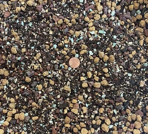 Premium Mixed Akadama Cactus & Succulent Soil w/ Lava, Maifan & Zeolite - Medium - Picture 1 of 5