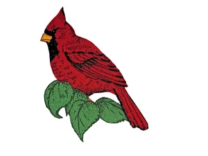 Parche multicolor izquierdo hierro sobre pájaro cardenal rojo 3" x 3" nuevo - Imagen 1 de 7