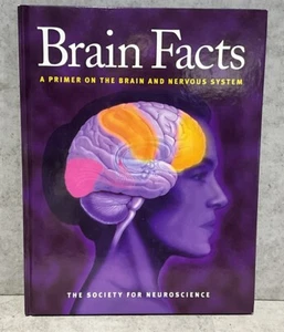 Gehirn-Fakten: Eine Grundierung für Gehirn und Nervensystem Gesellschaft für Neurowissenschaften - Bild 1 von 3