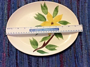 Vintage & Niedlich 11 1/2" Golden Jasmin Design Platte Stetson - Top Zustand - Bild 1 von 5