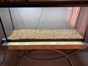 top fin tank