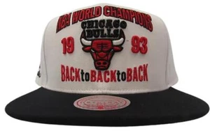 1993 Finals Chicago Bulls Mitchell & Ness Mens Size OSFA Snapback Flatbrim Hat - Picture 1 of 7