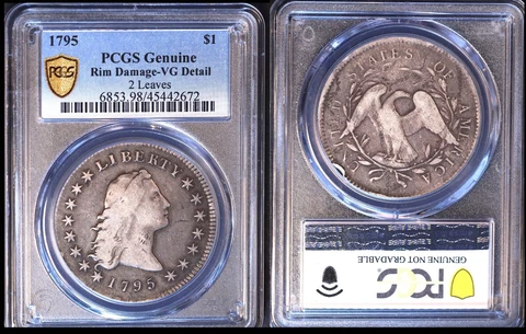 1795 $1 PCGS GENUINE RIM DAMAGE VG DETAIL 2 LEAVES FLOWING HAIR DOLLAR Cover