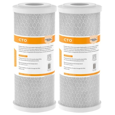 2 Pack 10" x 4.5" Carbon Block Water Filter Whole House Replacement for Big Blue - Image 1 of 4