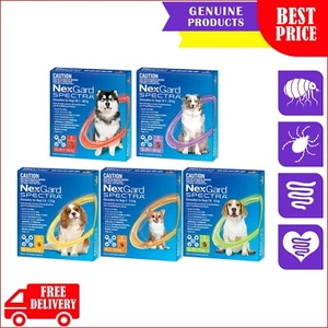 NEXGARD SPECTRA 6 Chews for All Sizes Dog Heartworm Flea Tick and Worm Treatment - Picture 1 of 7