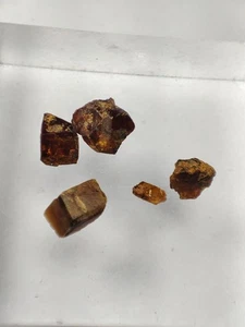 5 Pcs Extremely Rare Monazite Ce Crystals Having Perfect Pakistan. - Picture 1 of 11