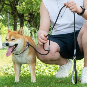 Slip Lead for Dogs Strong No Pull Dog Leads Nylon Figure 8 Rope Leads,2 Handles - Picture 1 of 12