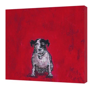 Sam Toft - Small Dog - 40 x 40cm Canvas Print Wall Art WDC22086 - Picture 1 of 1