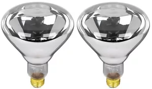 Satco S4999 250W R40 Dimmable Heat Lamp Bulbs - Pack of 2 - Picture 1 of 4