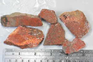 Agatized Dinosaur Bone, Utah, EX Shirley Collection, 110 grams - Picture 1 of 8