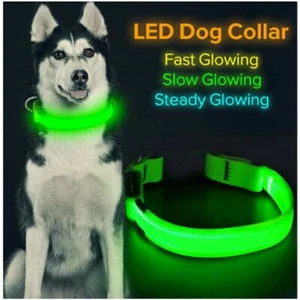 LED Light up Dog Collar Pet Night Safety Bright Flashing Adjustable Nylon 2025 - Picture 1 of 5