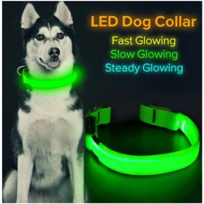Collar de perro con luz LED para mascotas seguridad nocturna brillante intermitente ajustable de nailon 2025 Foto 1 de 4