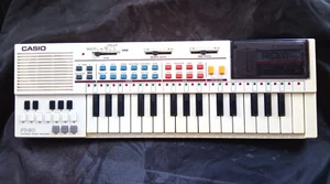 Mini Synth Tastiera Elettronica Vintage Casio PT-80 Strumento Musicale + Confezione ROM - Foto 1 di 8