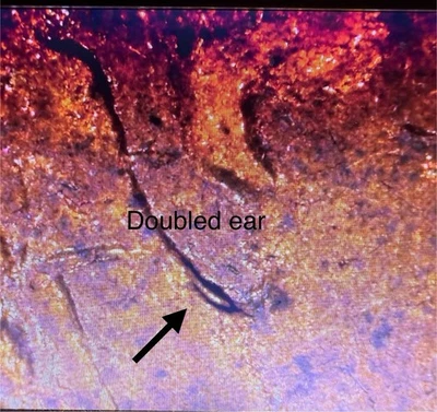 1982 D Zinc Large Date Memorial Cent DDO-001 Doubled Ear Variety And Also RPM001 - Image 1 of 4