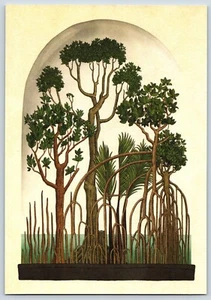 Postcard Kew Botanicum Mangrove Forest Enviroment - Picture 1 of 2