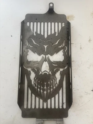 00 Honda VT750 Shadow ACE tampa de tela para grade de radiador  - Imagem 1 de 4