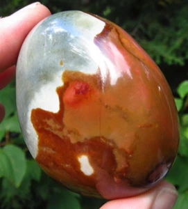 POLYCHROME JASPER VITALITY & CREATIVITY POLISHED CRYSTAL PALMSTONE MADAGASCAR *3 - Picture 1 of 11