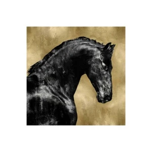 Stampa su Tela su Carta Poster o Quadro Rose Martin Black Stallion on Gold - Imagen 1 de 2