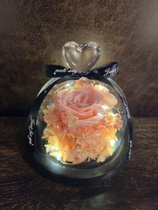 Eternal Rose flower Preserved rose everlasting rose flower gift with Led Light - Picture 1 of 23