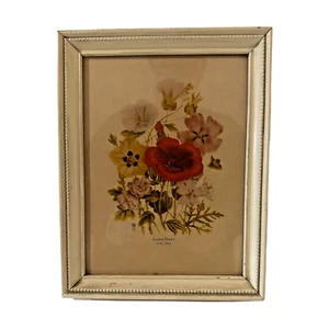 LOUDON FLORALS 1783-1843 Lithograph Print Framed Botanical 7x9" - Picture 1 of 6