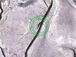 2013 P  Mount Rushmore ATB Quarter.  WDDR-003 Doubled Die Reverse (Nose). - Picture 1 of 6