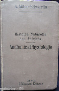 HISTOIRE NATURELLE DES ANIMAUX T2 A.MILNE EDWARDS 1890 MASSON 