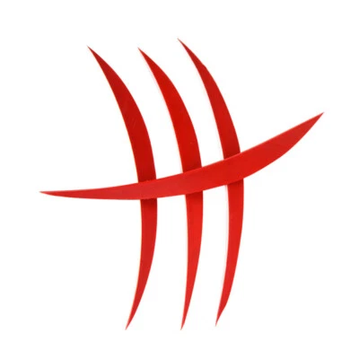 50pcs 5" Archery Arrow Feather Fletches Turkey Fletching Natural Right Wings DIY - Image 1 of 4