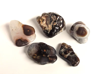 Lote de 5 piezas de piedras preciosas de ágata de fuego, 35 g, pulidas, naturales, cristal, pequeñas caídas. A22 Foto 1 de 4