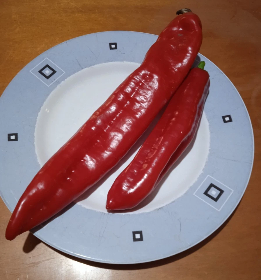 70 semi peperone corno  rosso Dolce ( peperoni ) semi.italiani - Immagine 1 di 1