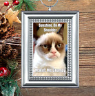Cat Kitty Kitten Funny Christmas Tree Ornament