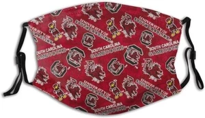 South Carolina Gamecocks Outdoor Mask, Protective 5-Layer Carbon Filter - Picture 1 of 7