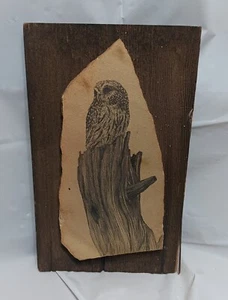 Terragraph Owl Art on Wood & Sandstone from Tuscon AZ - Picture 1 of 7