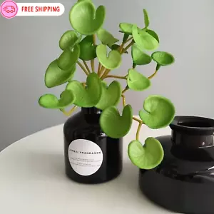 One Piece Soft Rubber Plant Pilea Peperomioides Money Tree – Indoor Home Decor - Picture 1 of 6