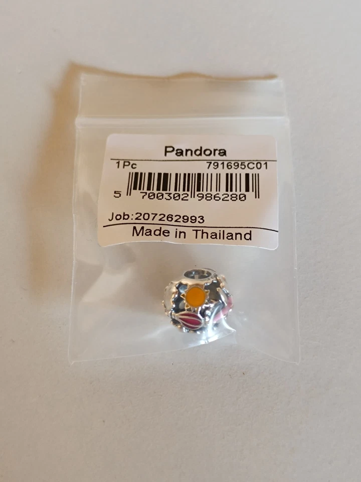 Pandora Fly Away Rainbow Sky & Travel Charm