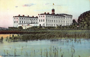 Postal SUECIA: Castillo de Tullgarn, DB 1910, sin publicar - Imagen 1 de 2