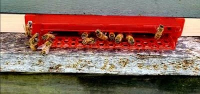 GUARDIAN BEETLE TRAP BEE HIVE ENTRANCE LOWER BEEHIVE ENTERANCE
